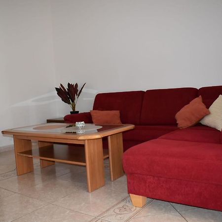 Pet Friendly Apartment Murvi 50 Novigrad Istria Exterior foto